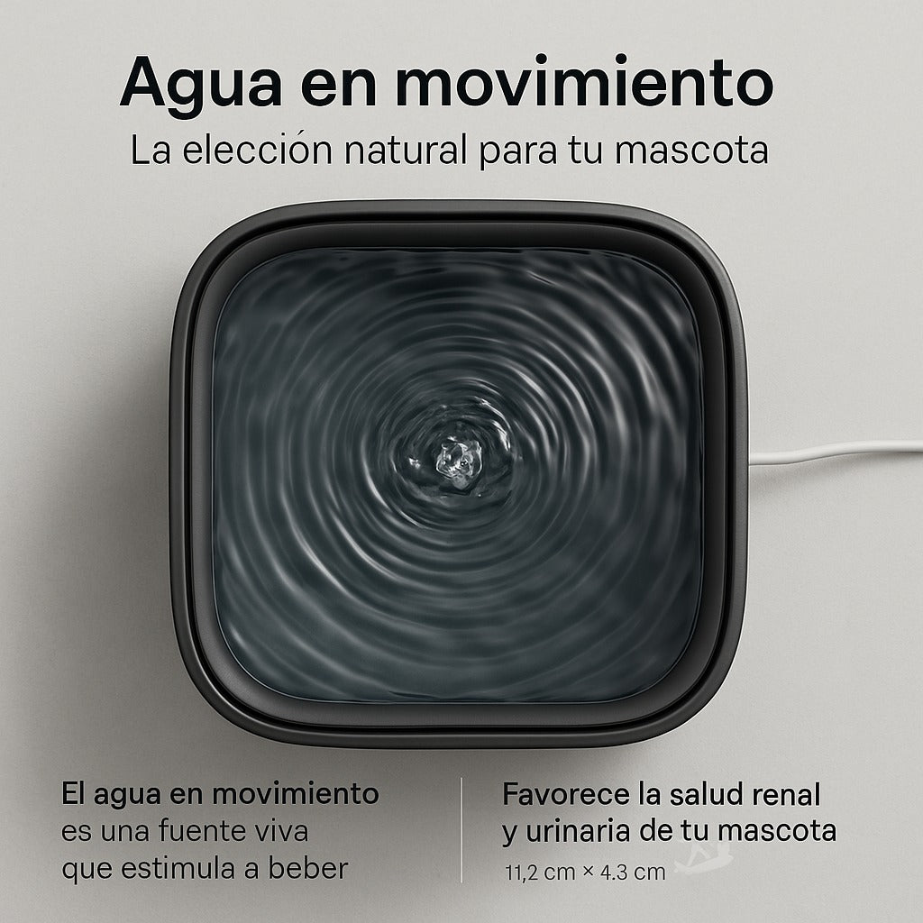 The Stream One